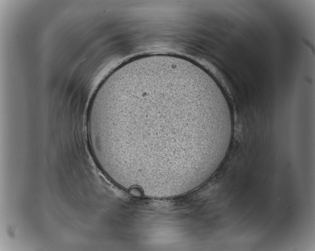 X0000101651191200807241348