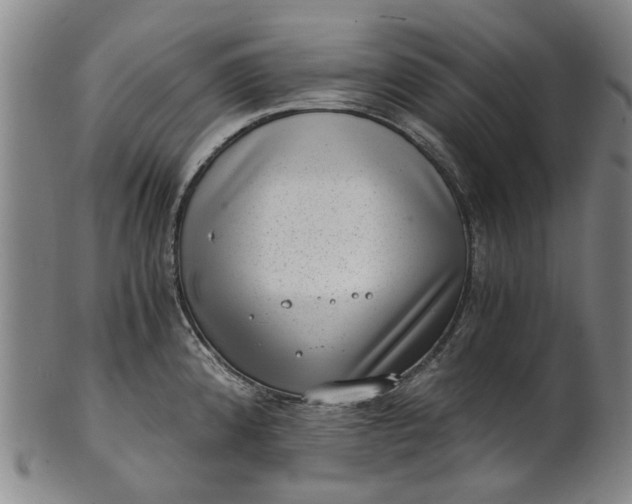 X0000101651192200807241348