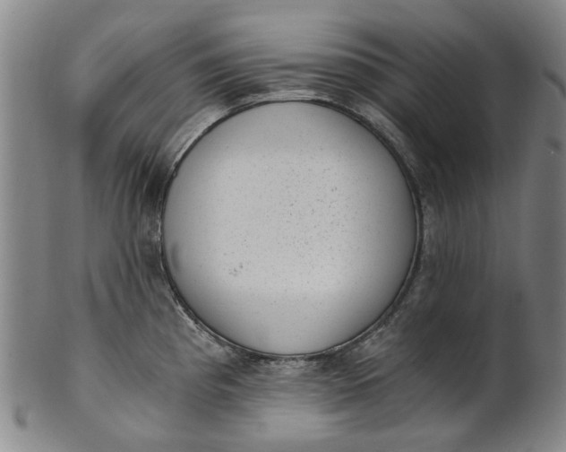 X0000101651193200807241348