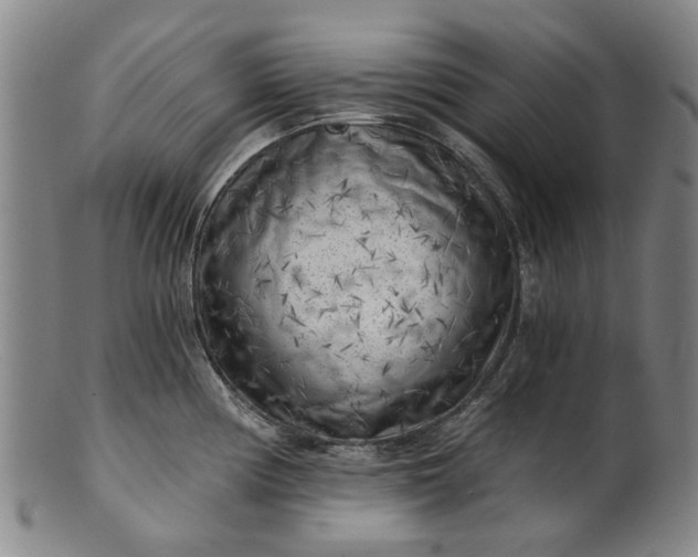 X0000101651194200807241348