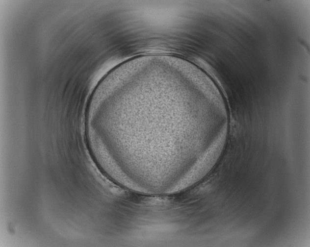 X0000101651195200807241348