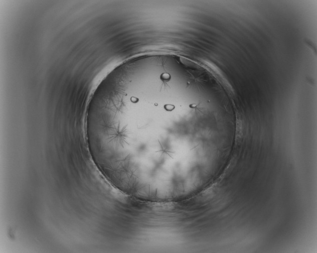 X0000101651196200807241348