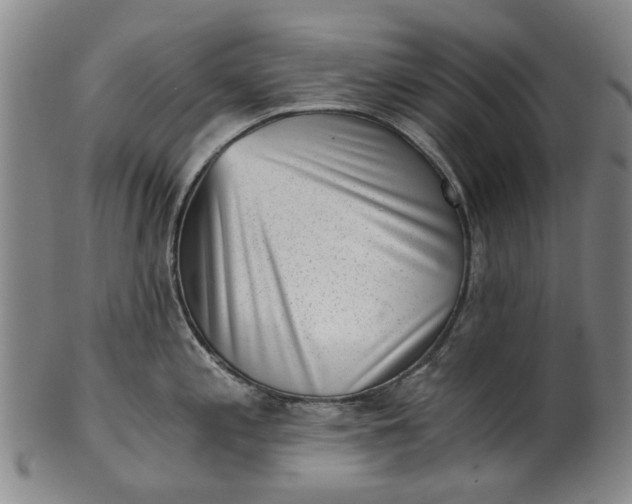 X0000101651197200807241348