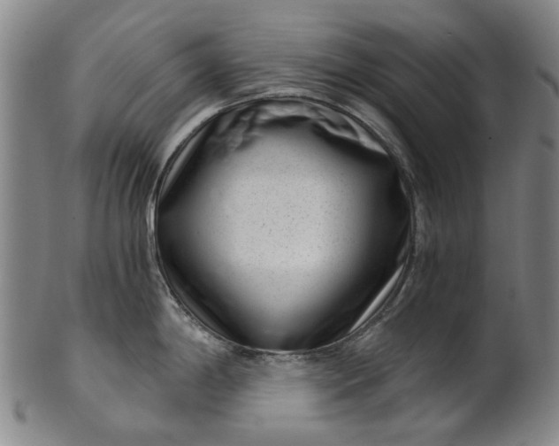 X0000101651198200807241348