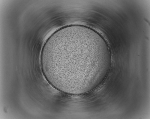 X0000101651199200807241348