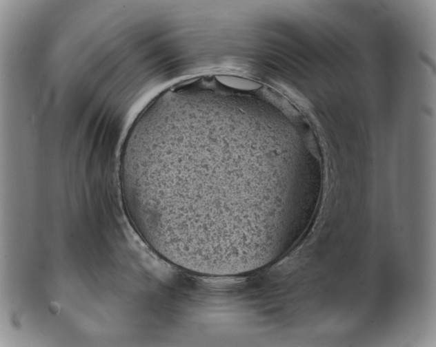 X0000101651200200807241348