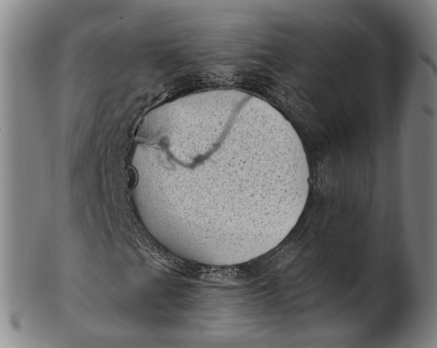 X0000101651201200807241347