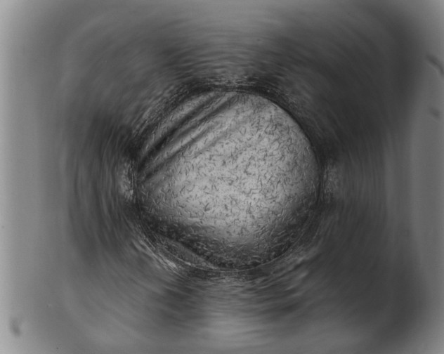 X0000101651202200807241347