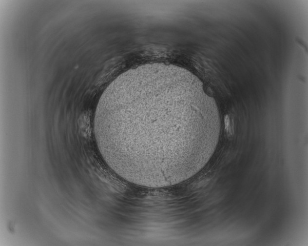 X0000101651203200807241347