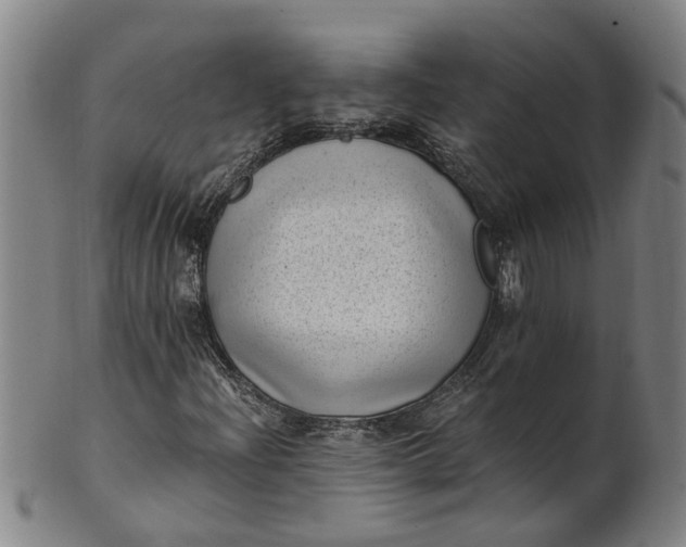 X0000101651204200807241347