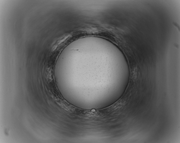 X0000101651205200807241347