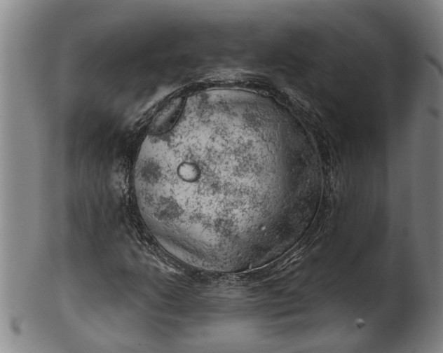 X0000101651206200807241347