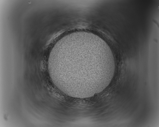 X0000101651207200807241347