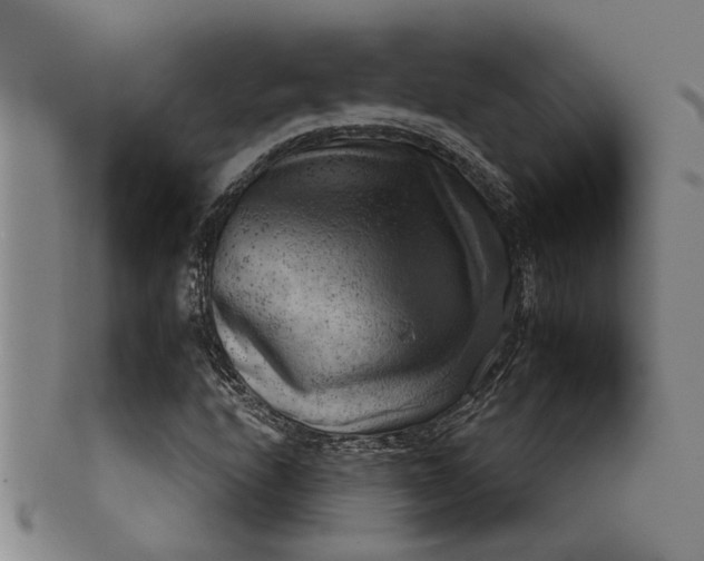 X0000101651208200807241347