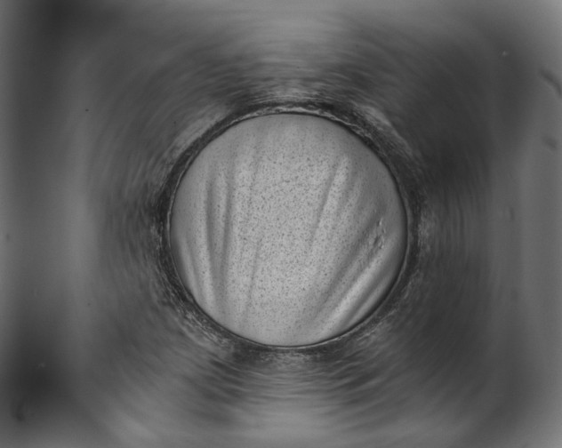 X0000101651209200807241347