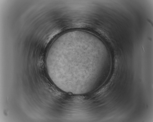 X0000101651210200807241347