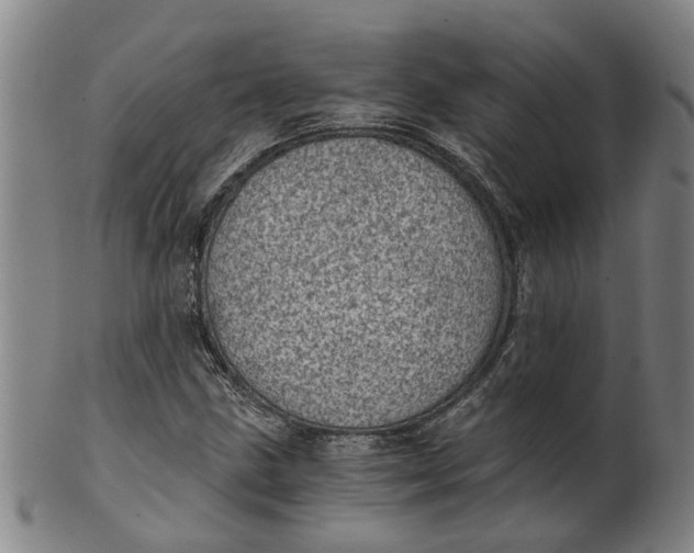 X0000101651211200807241347