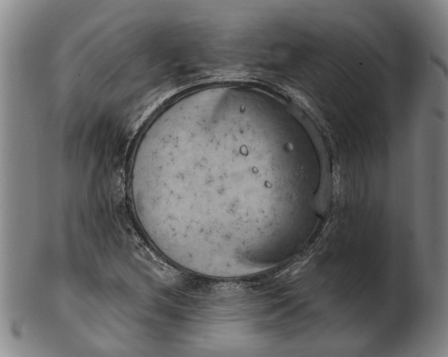 X0000101651212200807241347