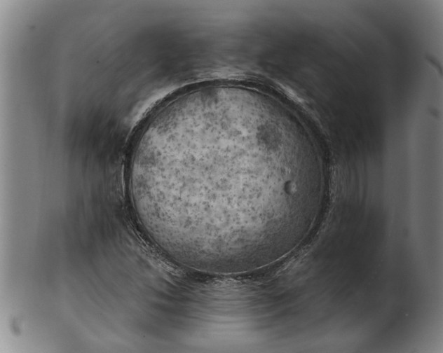 X0000101651214200807241347