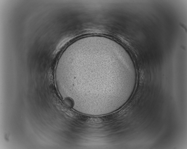 X0000101651215200807241347