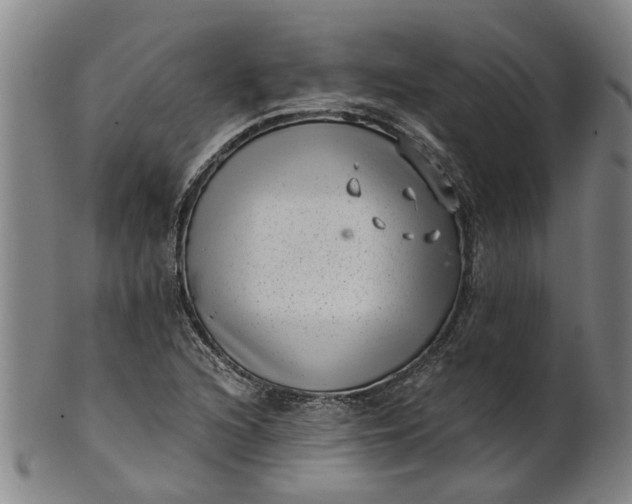 X0000101651216200807241347