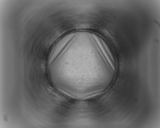 X0000101651217200807241347