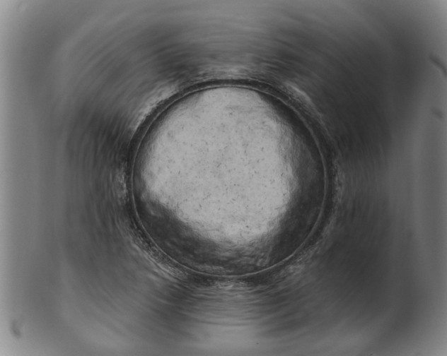 X0000101651218200807241347