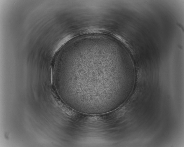 X0000101651219200807241347