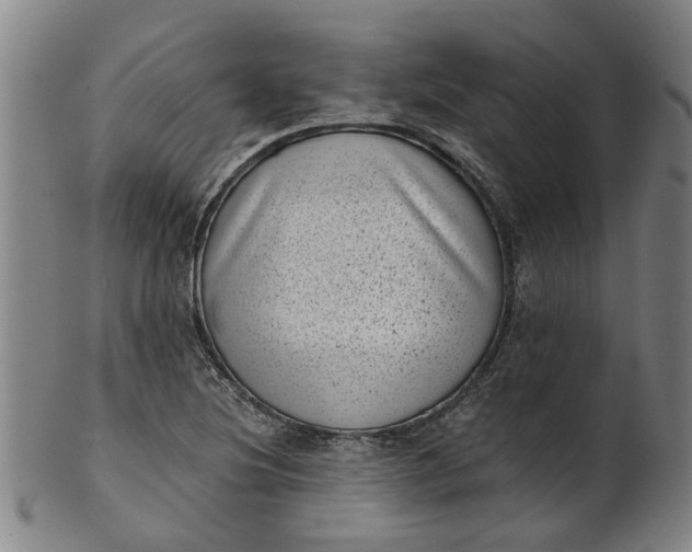 X0000101651220200807241347