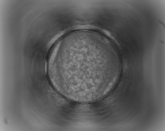 X0000101651221200807241347