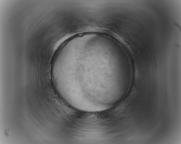 X0000101651222200807241347