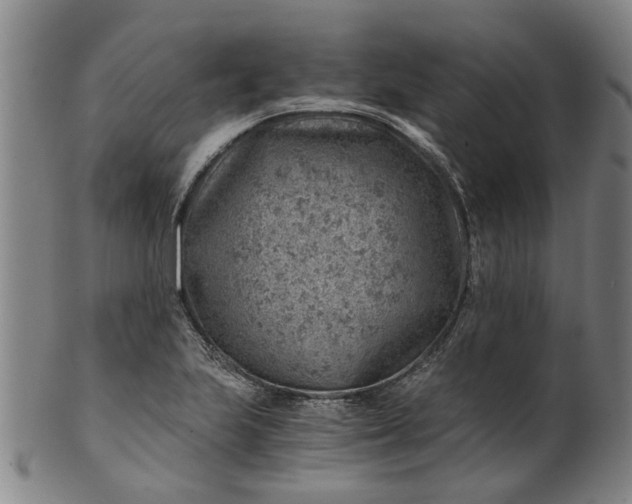 X0000101651223200807241347