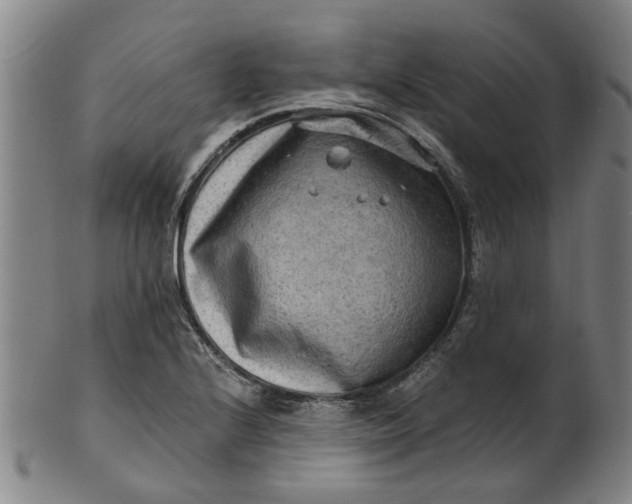 X0000101651224200807241347