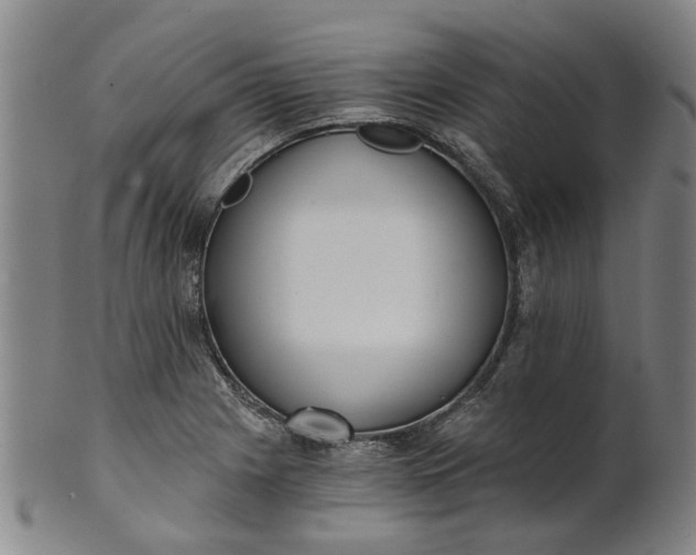 X0000101651225200807241347