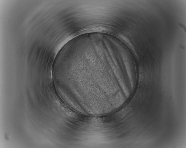 X0000101651226200807241347