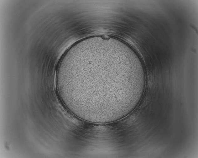 X0000101651227200807241347