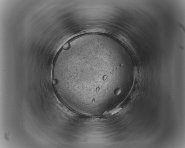 X0000101651228200807241347