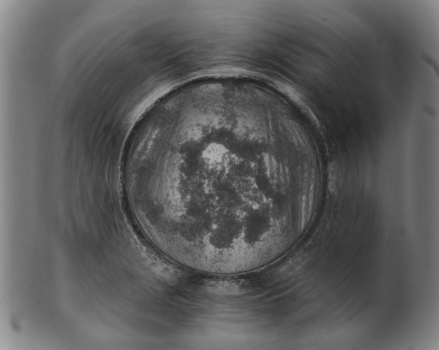 X0000101651229200807241347