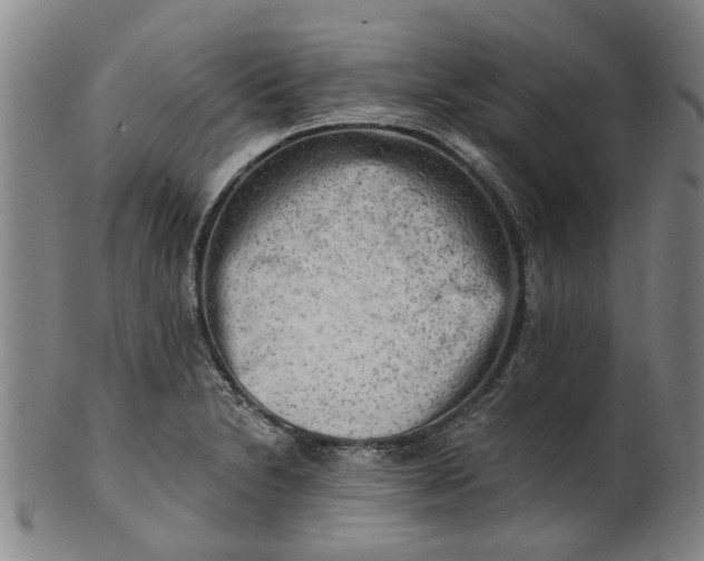 X0000101651230200807241347