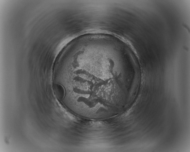 X0000101651231200807241347