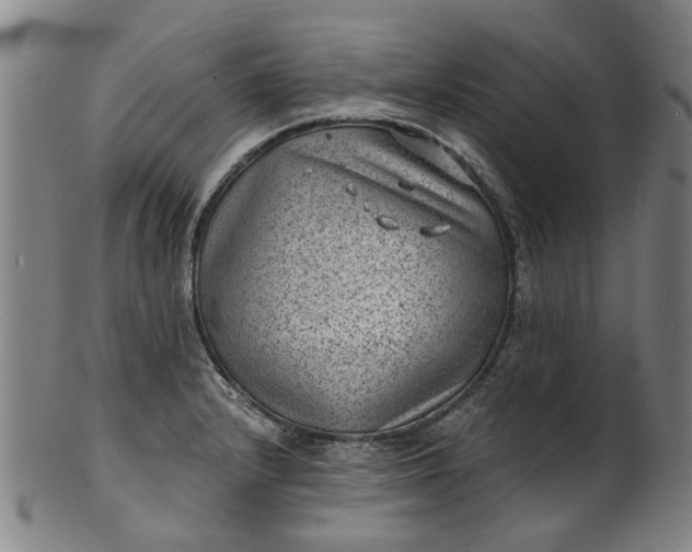 X0000101651232200807241347