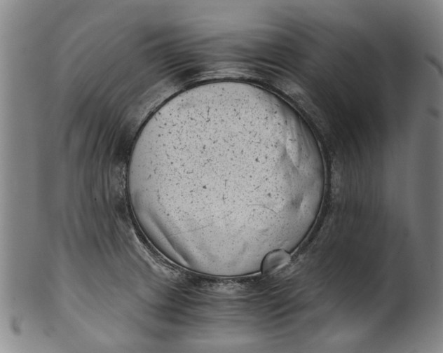 X0000101651233200807241347