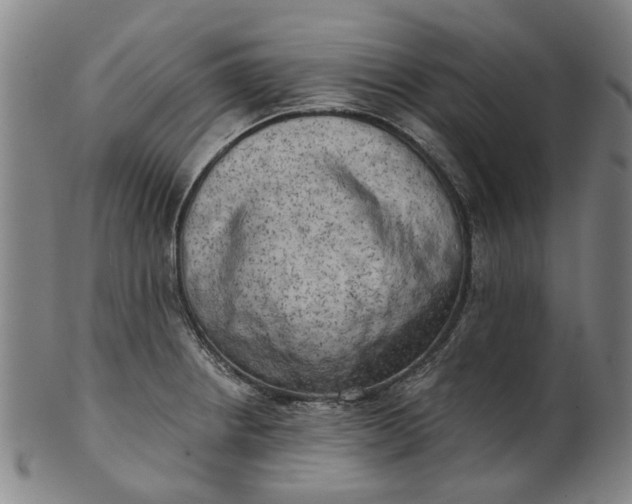 X0000101651234200807241347