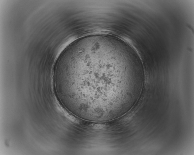 X0000101651235200807241347