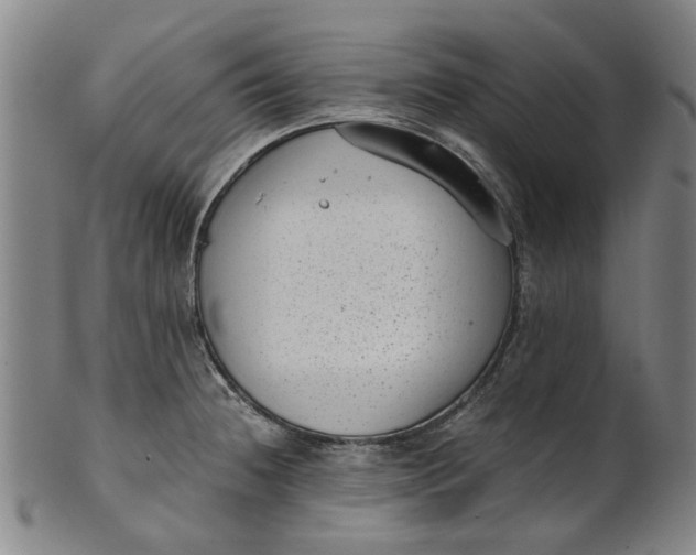 X0000101651236200807241347