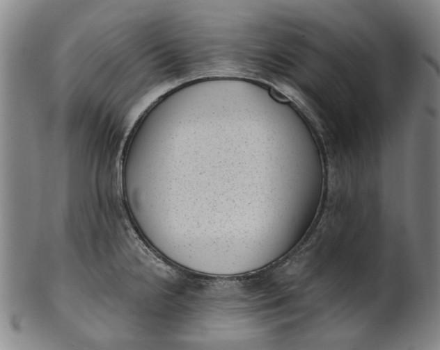 X0000101651238200807241348