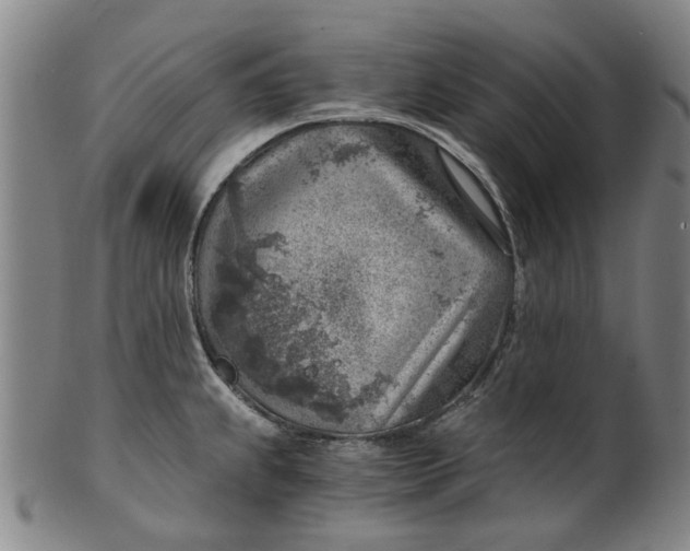 X0000101651239200807241348