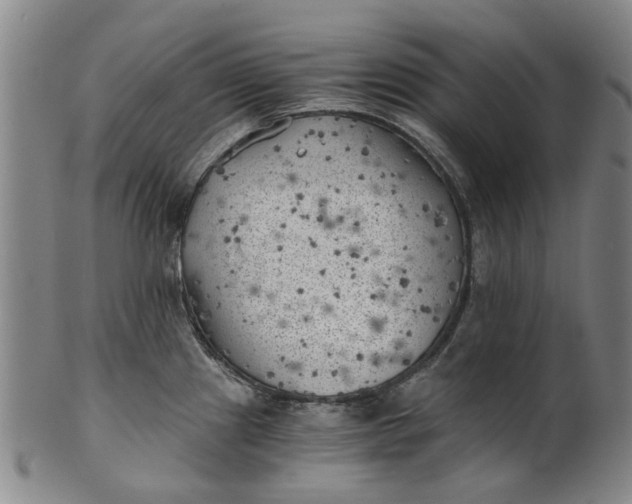 X0000101651241200807241348