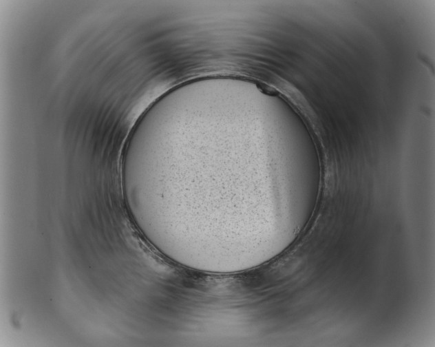 X0000101651242200807241348