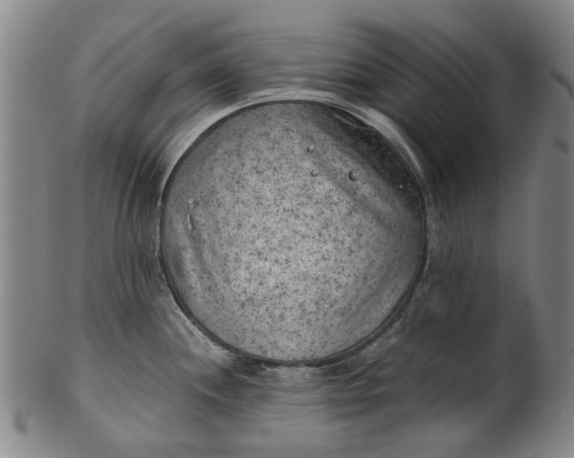 X0000101651244200807241348